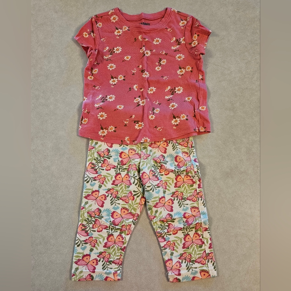 Old Navy Pink Floral Tee with Butterfly Floral Jeggings, 2T
